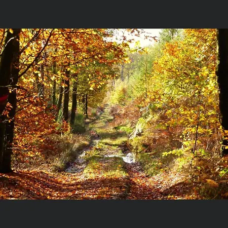 Enjoy 3 Διαμέρισμα *