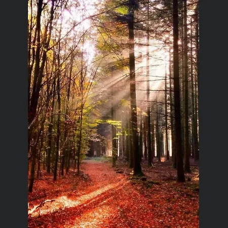 Appartement Enjoy 3 *